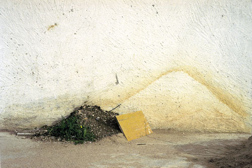 Berg, 2003